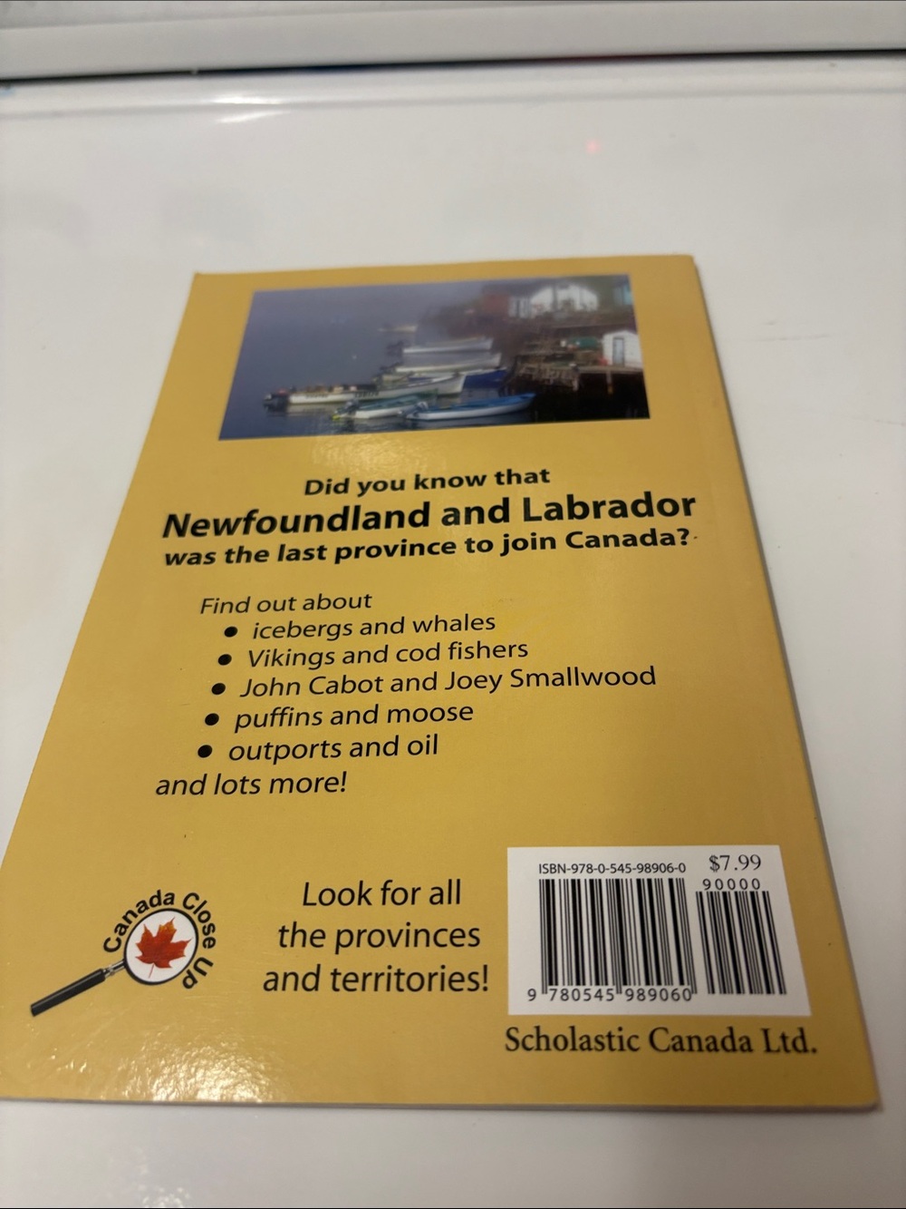 4/$20 Scholastic Newfoundland and Labrador children’s book — Rachel Eagen - Picture 4 of 5